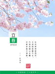 立春