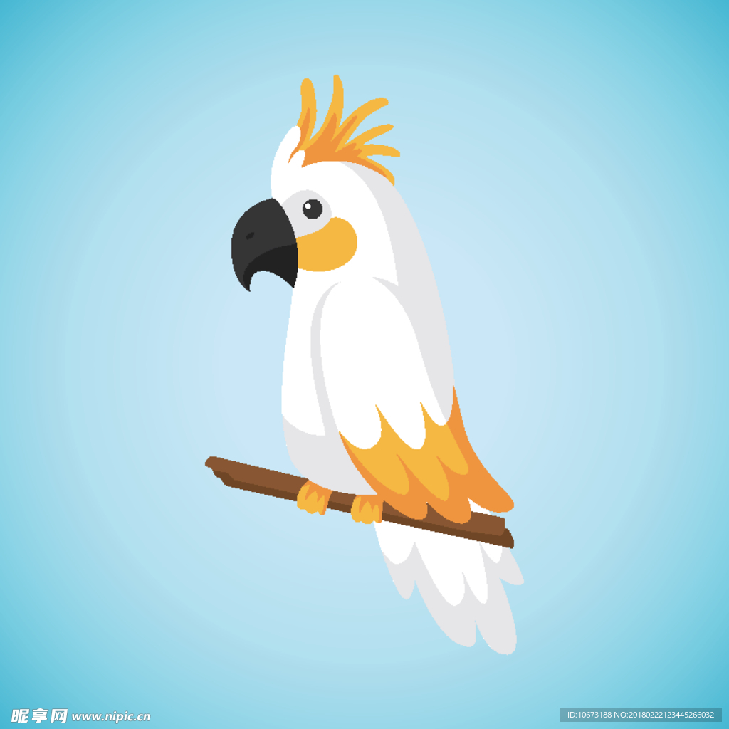 鹦鹉