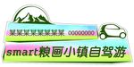 smart自驾游车贴