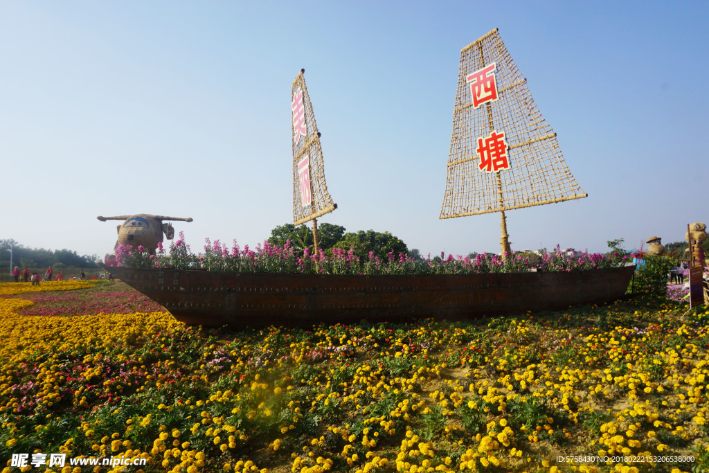 西塘稻草节