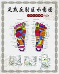 脚底示意图