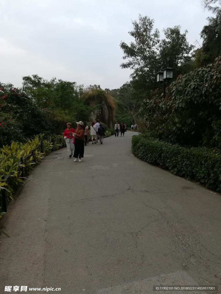 厦门鼓浪屿林荫道