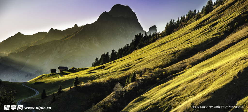 绿色山景