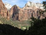 山