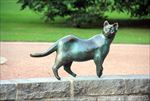 铜猫