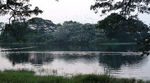 白鹭岛