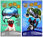 汪游湖南