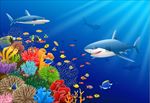 多彩海洋生物