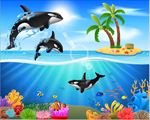 多彩海洋生物