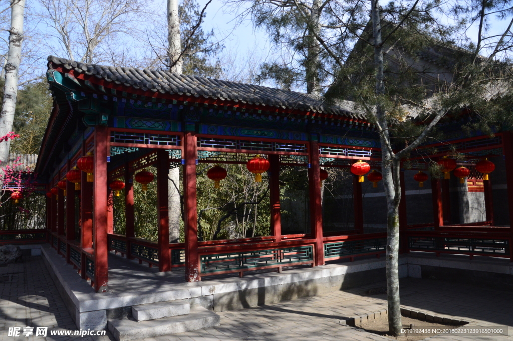 初春大观园