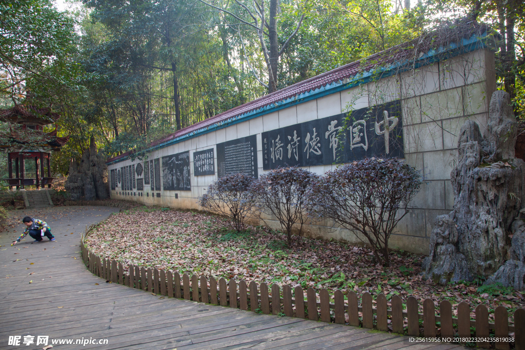 湖南省森林植物园