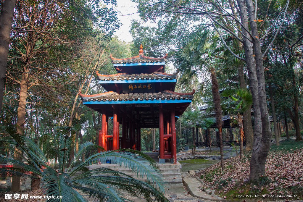 湖南省森林植物园