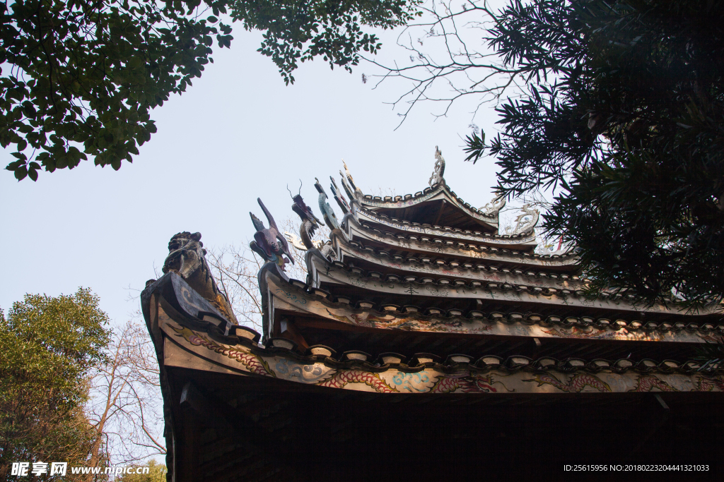 湖南省森林植物园