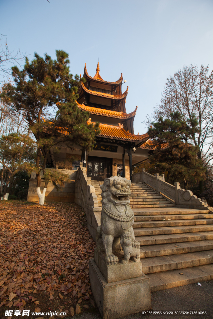 湖南省森林植物园