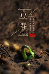 立春海报