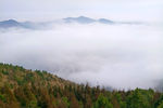 雾景