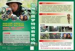 少儿军旅特训