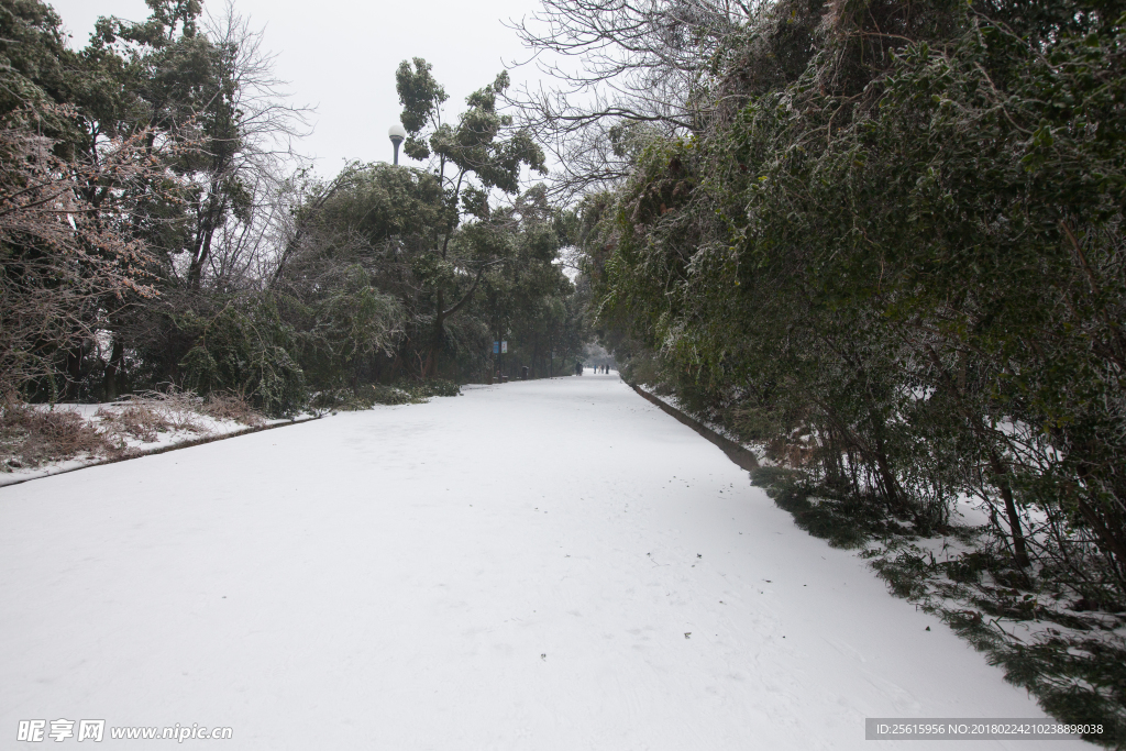 长沙岳麓山雪景