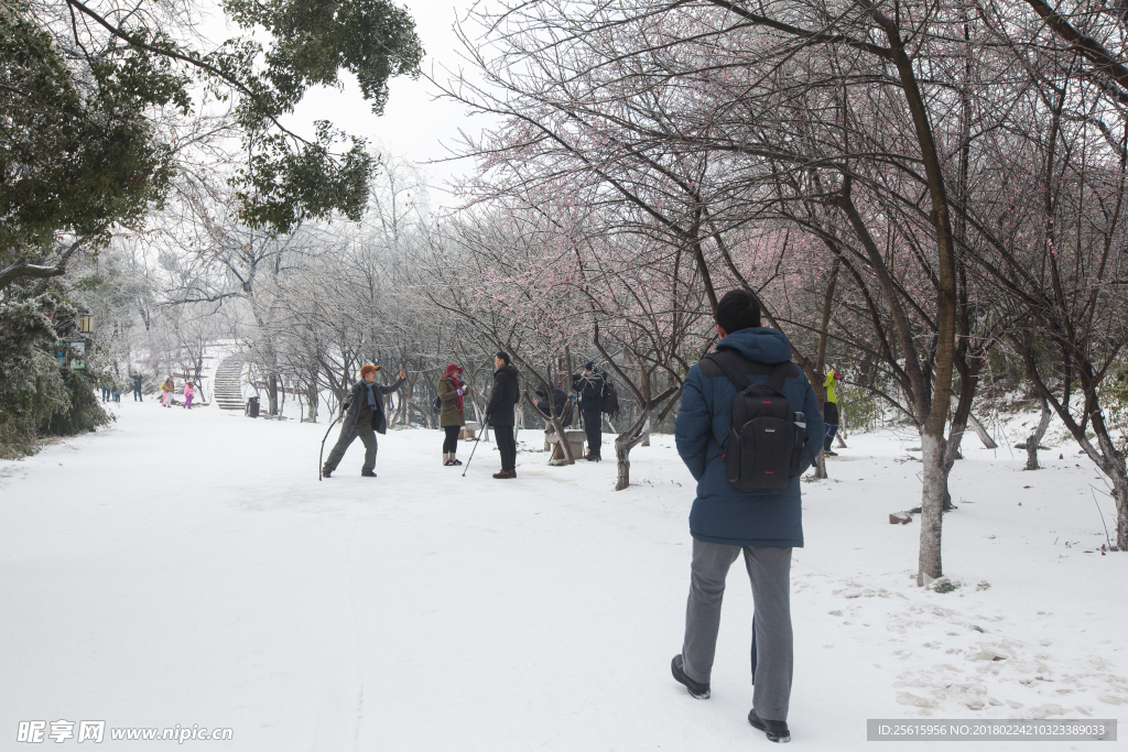 长沙岳麓山雪景