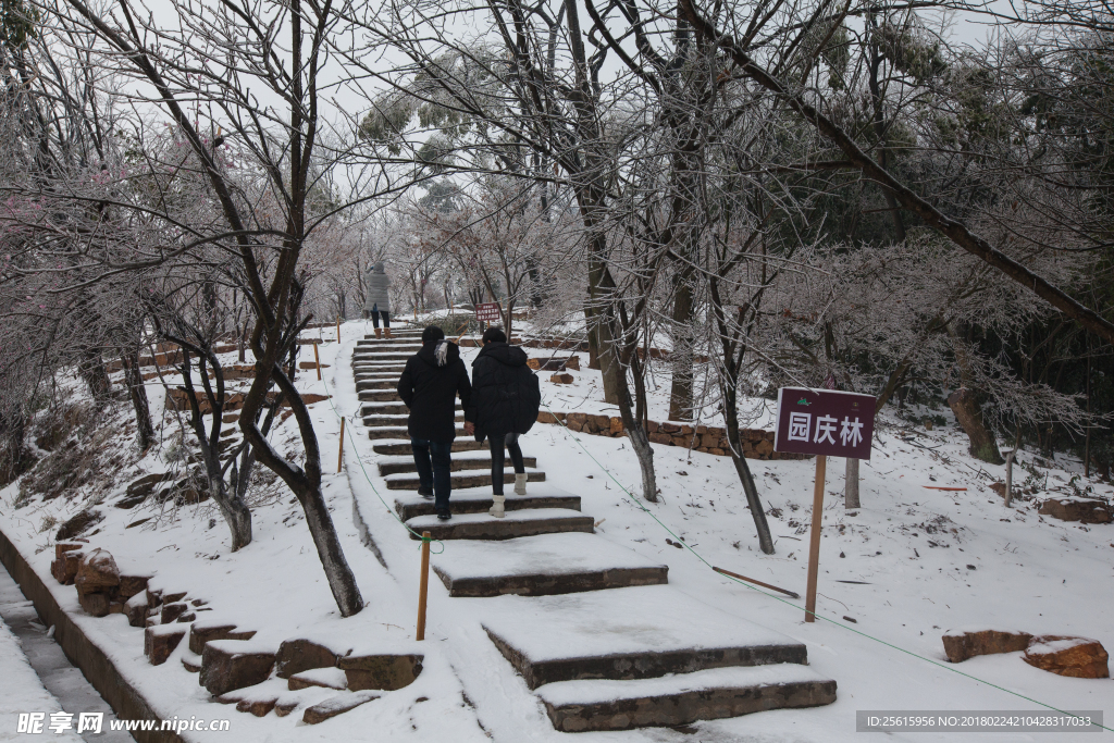 长沙岳麓山雪景