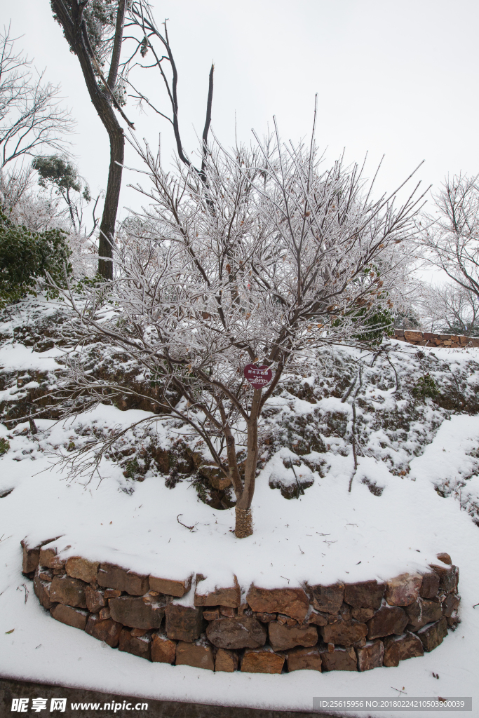 长沙岳麓山雪景