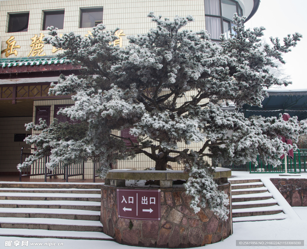 长沙岳麓山雪景