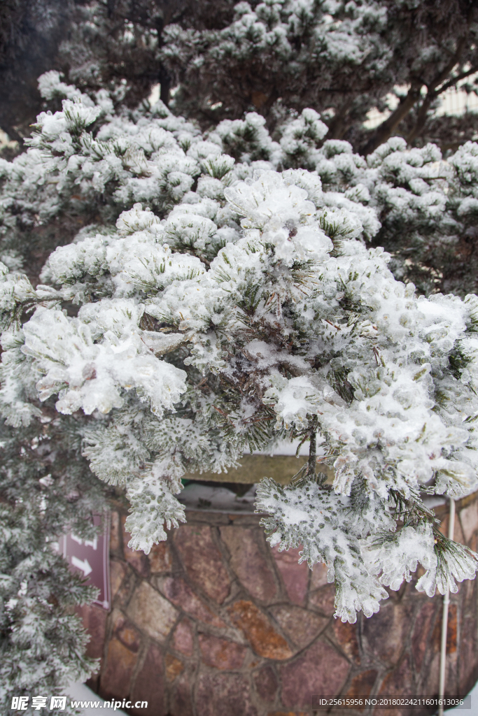 长沙岳麓山雪景