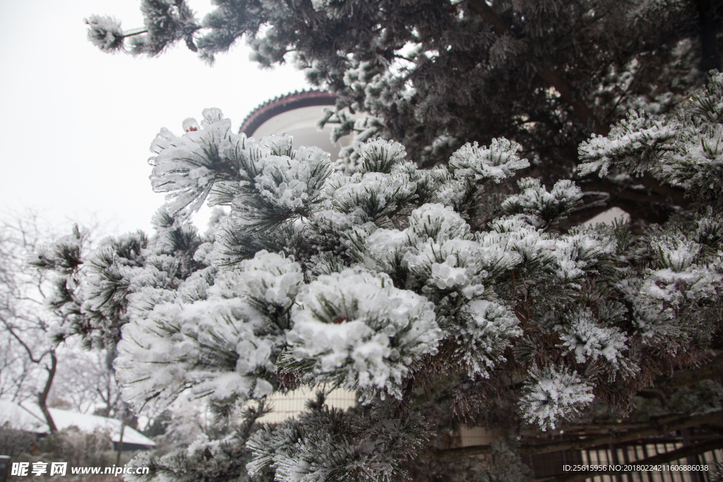 长沙岳麓山雪景