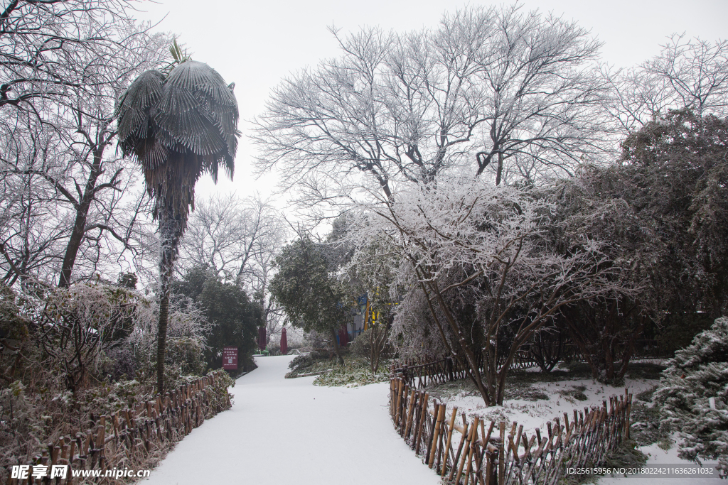 长沙岳麓山雪景