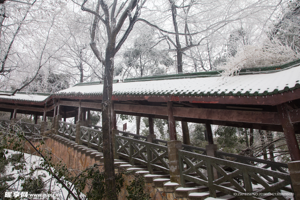 长沙岳麓山雪景