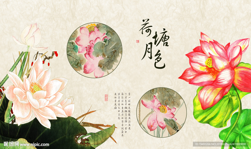 中国风荷花
