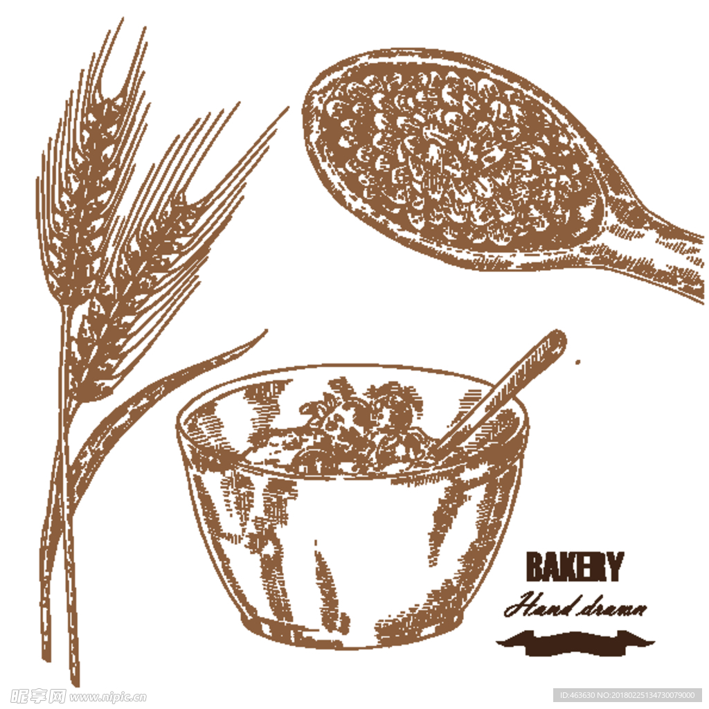小麦与麦片插画图片