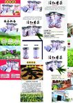 茶 茶叶 茶道