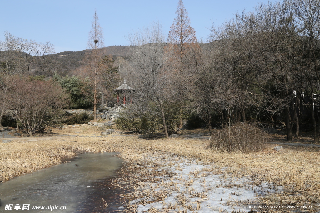 初春园林美景