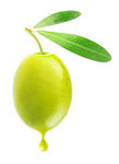 橄榄油