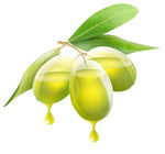 橄榄油