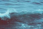 海水