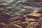 海水