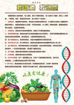 吃素更健康 素食的好处