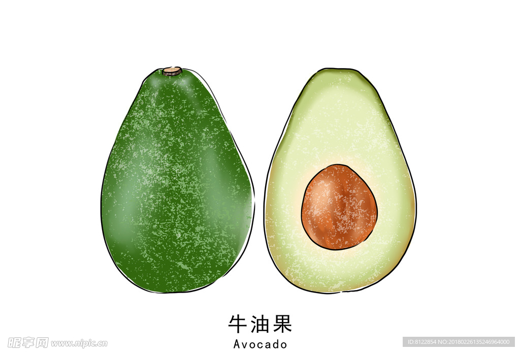 牛油果素材
