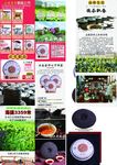 茶 茶叶 茶道