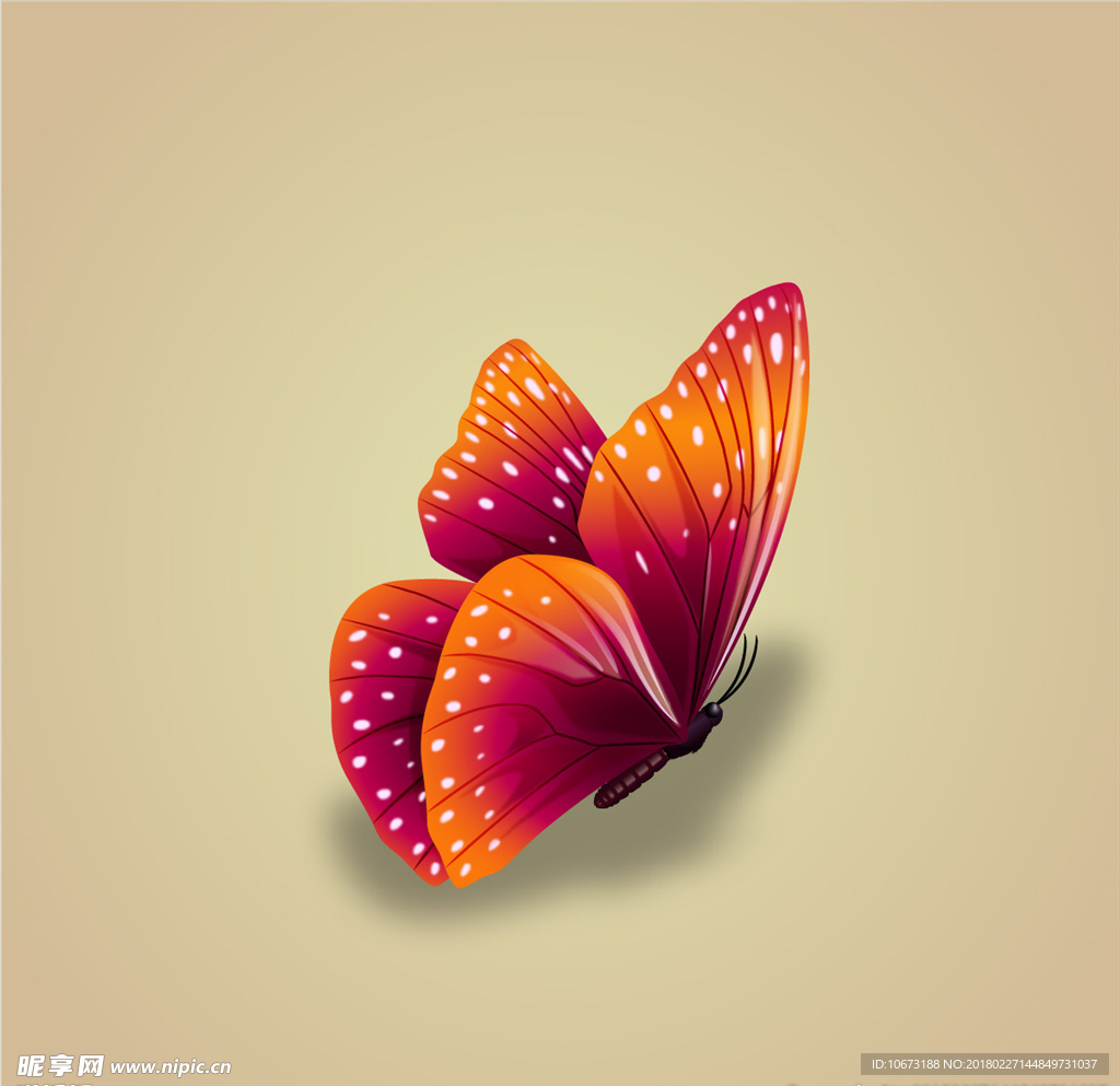 蝴蝶