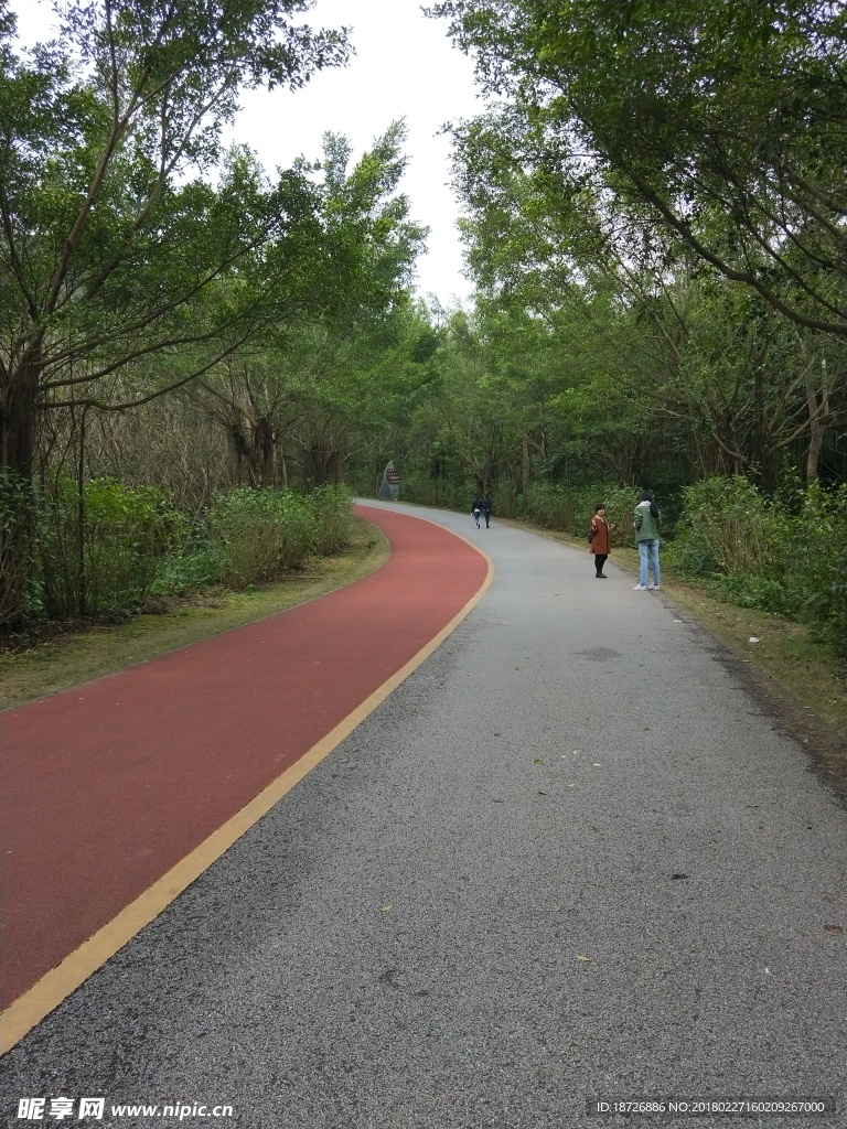 道路