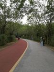 道路