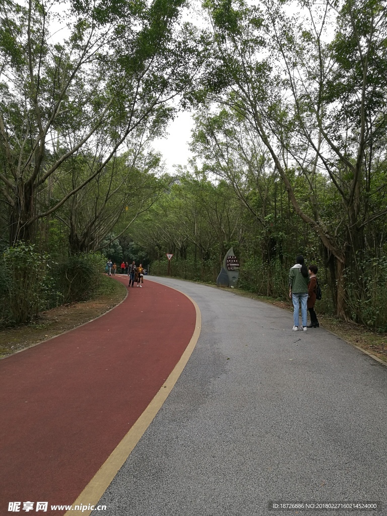道路