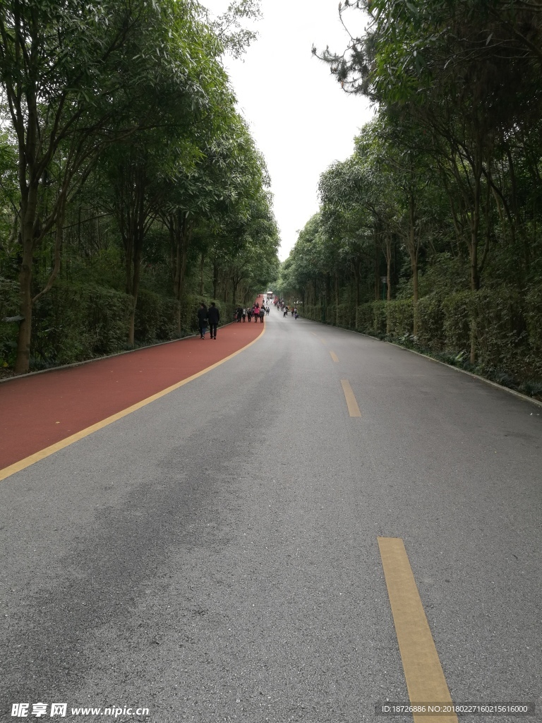 道路