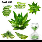 芦荟免扣元素