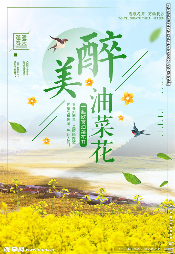 油菜花