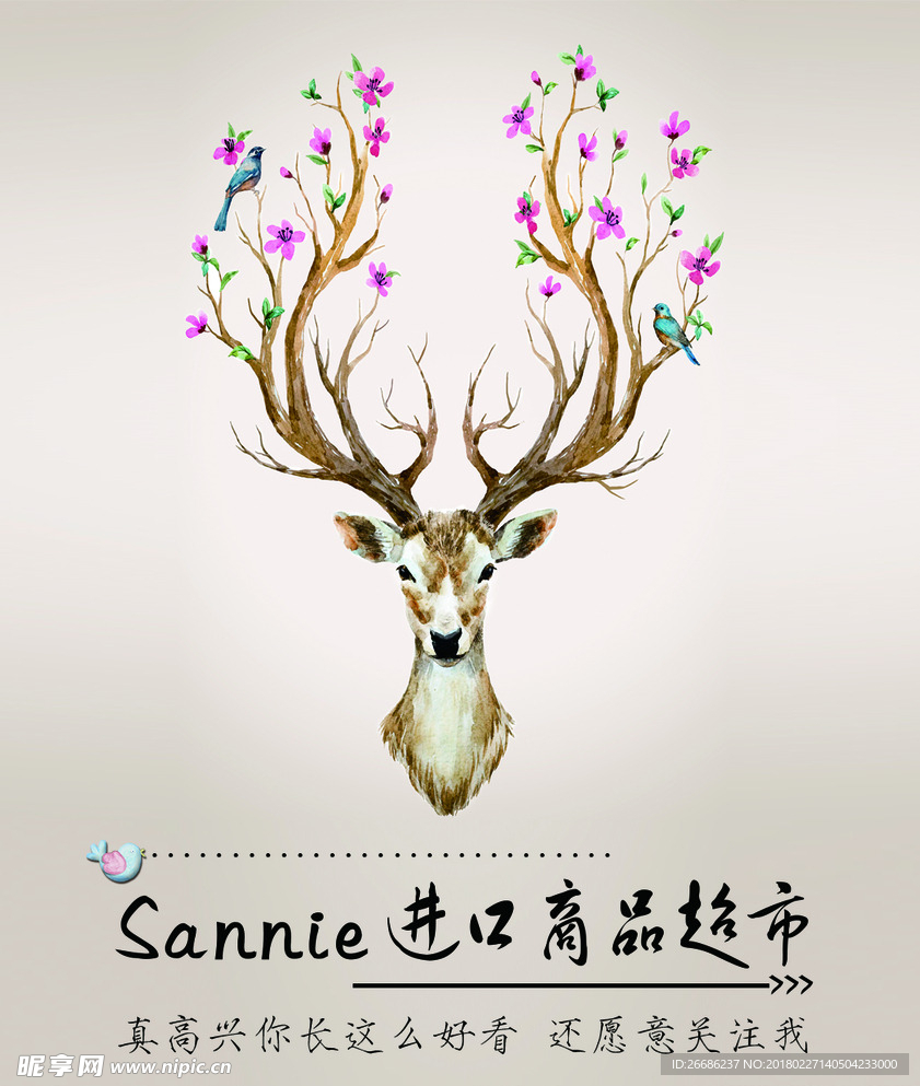 卡片 名片