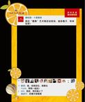 橙子拍照板